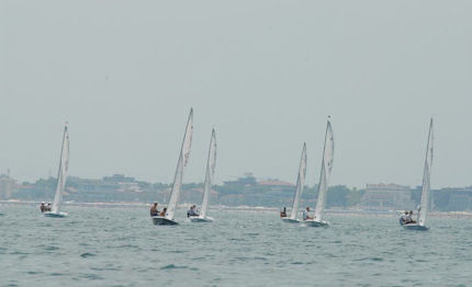 piada trophy sail food tutti campioni tavola