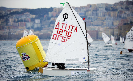 optimist ha una regina carlotta omari