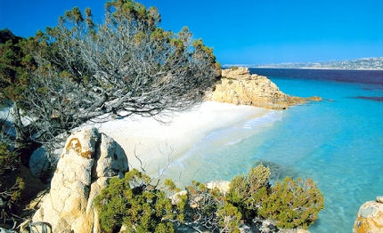 turismo dati 2009 della sardegna