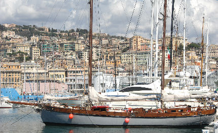 tall ships domani genova la flotta dei grandi velieri