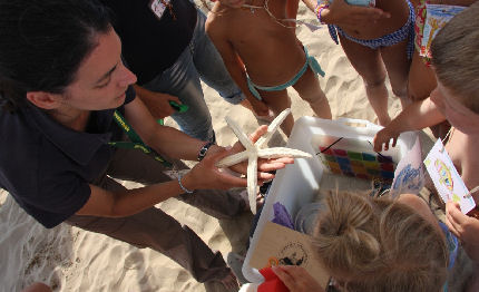 lignano pineta bilancio di esplorando il mare