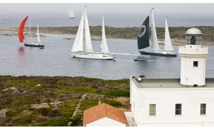 perini navi cup la prima regata va maltese falcon