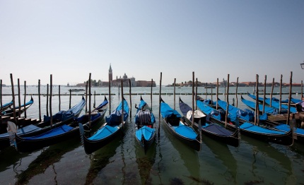 america cup venezia pronta alla sfida