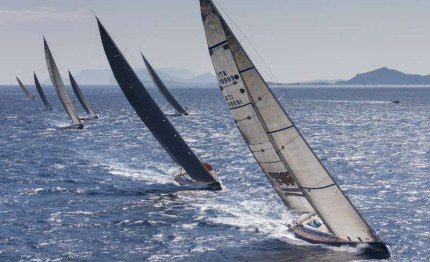 porto cervo continua lo spettacolo degli swan