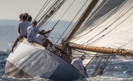 avel regina delle voiles de saint tropez