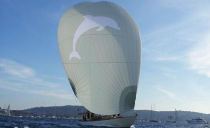 la panerai transat classique va white dolphin