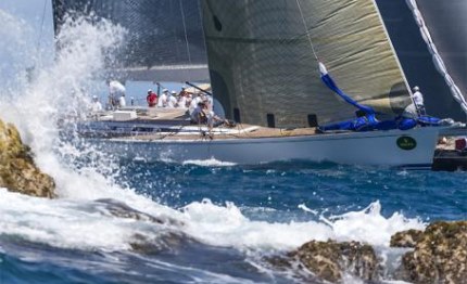 swan cup selene in testa virgin gorda