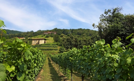 franciacorta in camper tra le vigne