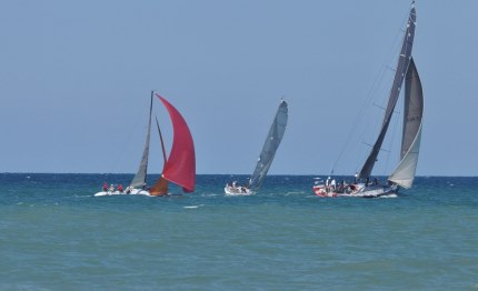 rimini ancona rimini il vincitore magoo