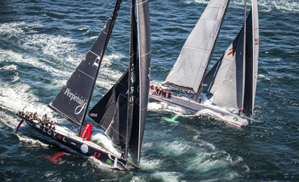 sydney hobart in testa perpetual loyal