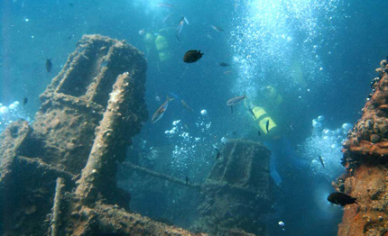 giglio concordia ok degli esperti al mentenimento delle barriere artificiali