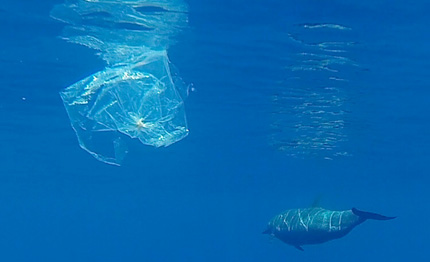 giovanni soldini navighiamo in un mare di plastica con due tifoni sulla nostra rotta