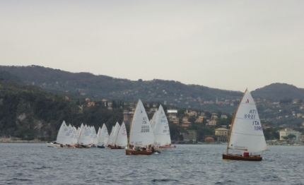 falciola si aggiudica il xx trofeo citta di rapallo della classe dinghy 12