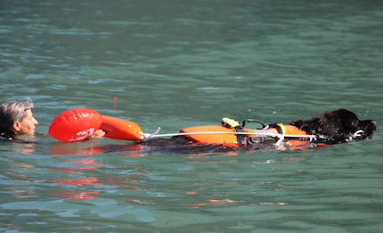 sicuro inmare alla barcolana 2016