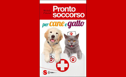 libri pronto soccorso per cane gatto di michela pettorali