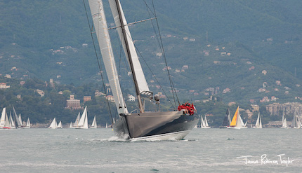 tag heuer velafestival 2017 oggi domani la vela cup sono 204 le barche in regata