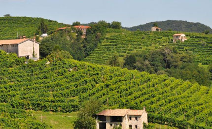 le colline del prosecco patrimonio unesco si decide il luglio