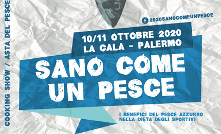 palermo sano come un pesce cooking shows asta conferenze per valorizzare il pesce azzurro