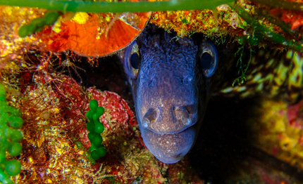 vincitori del concorso fotografico mediterraneo un mare da scoprire