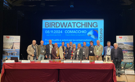 comacchio grande interesse per il convegno sul birdwatching